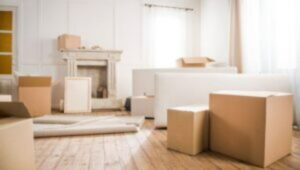 Packers and Movers Belha