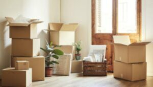 Packers and Movers Bemetara