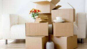Packers and Movers Bhadu