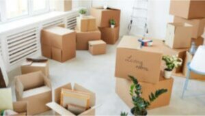 Packers and Movers Bhatapara