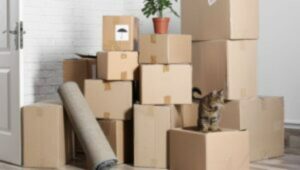 Packers and Movers Bhatgaon