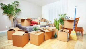 Packers and Movers Bilaspur