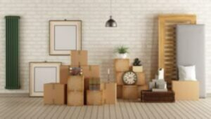 Packers and Movers Tendubhata