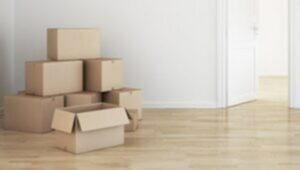 Packers and Movers Lormi