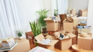 Packers and Movers Tamnar