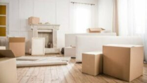 Packers and Movers Mandir Hasaud