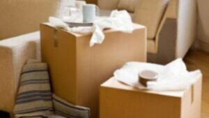 Packers and Movers Koriya