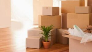 Packers and Movers Pali