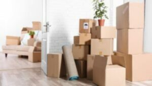 Packers and Movers Rajim
